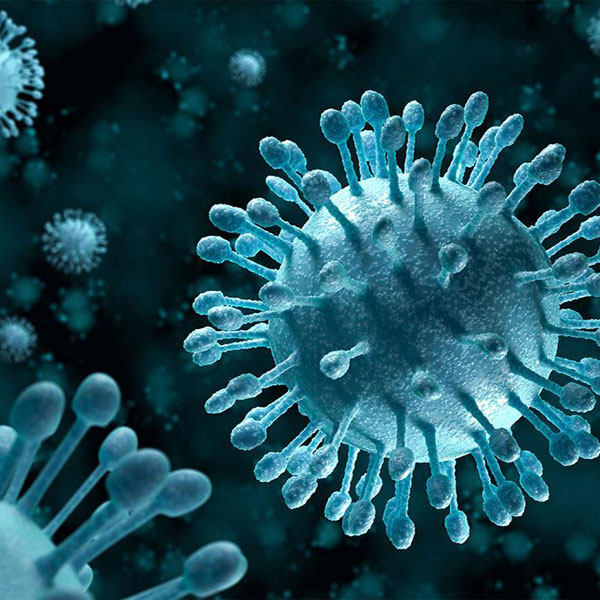 services-VIROLOGY